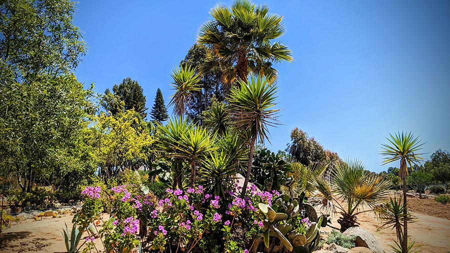 Experience Ibogaine Treatment Center - Tijuana, Mexico.
