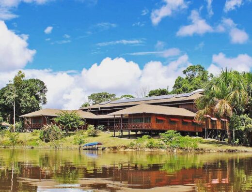 Ayahuasca Foundation in Iquitos, Peru