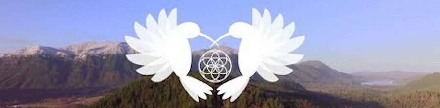 Ayahuasca Healings in Colorado Springs, Colorado logo