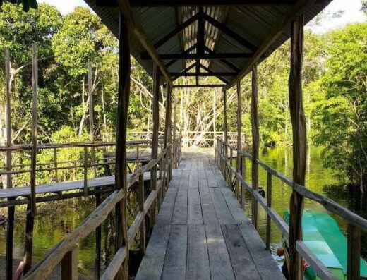 Gaia Tree Retreat in Iquitos, Peru