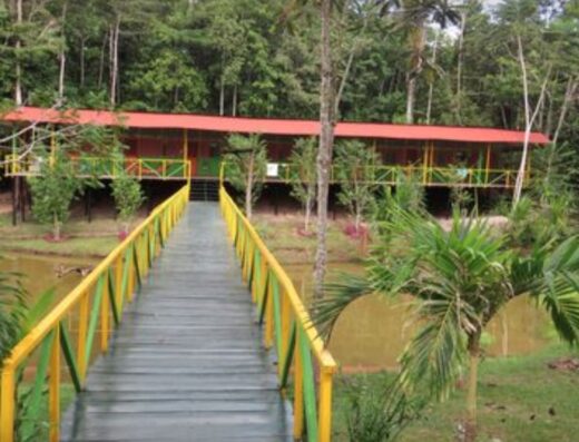 Hummingbird Healing Center in Iquitos, Peru