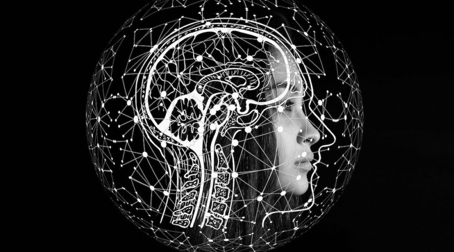 What Neurotransmitters Does Ketamine Affect Most In The Brain?