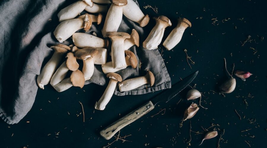 3 Things To Expect When Taking A Mushroom Trip