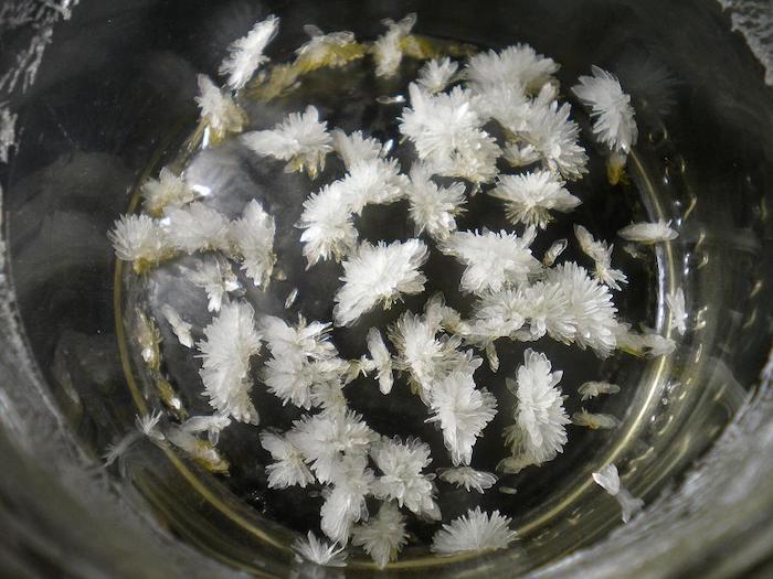 DMT crystals
