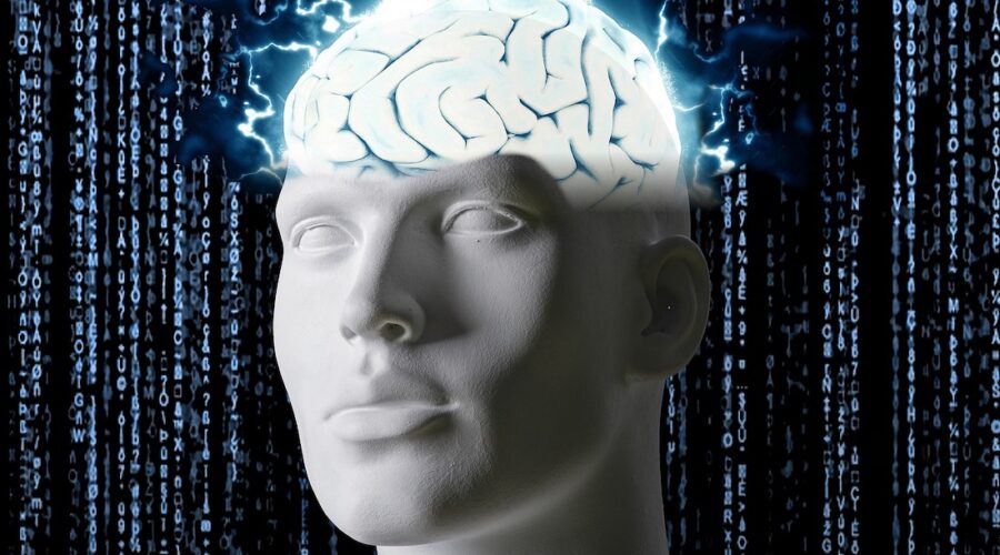 Ayahuasca vs. DMT: The Differences You Should Know