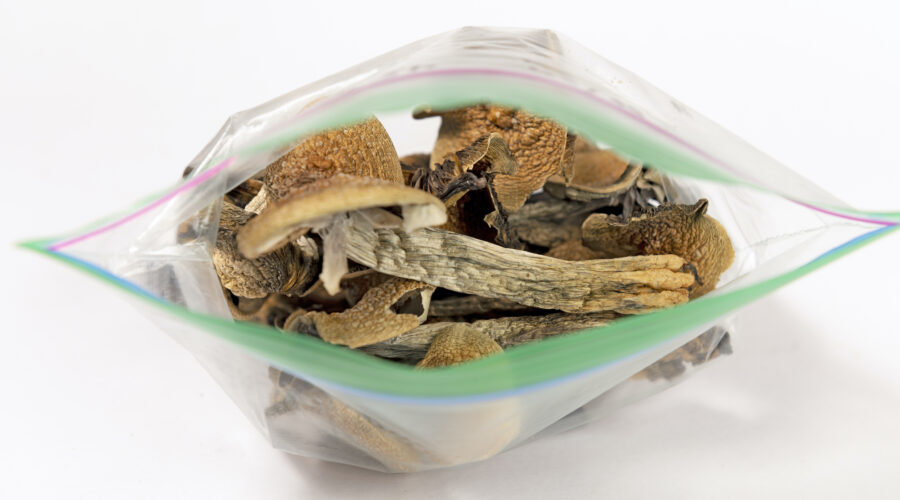 Shrooms Dosage Guide (2026): Calculator, Strain Chart & Dose Tiers