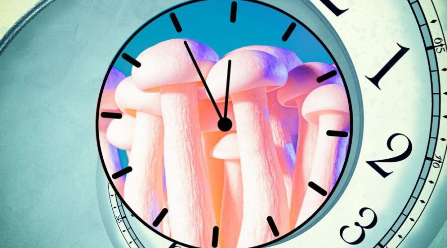 Here’s How Long It Takes for Shrooms to Kick In