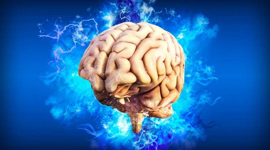 The Neuroanatomy Of A Psychedelic Trip: Brain Networks