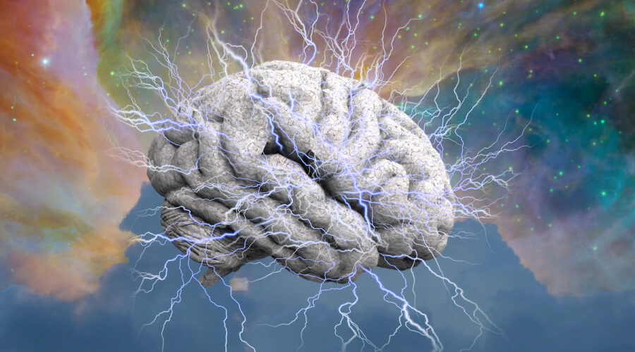 Brain Damage From Alcohol May Be Reversed By Using Magic Mushrooms, Per Study