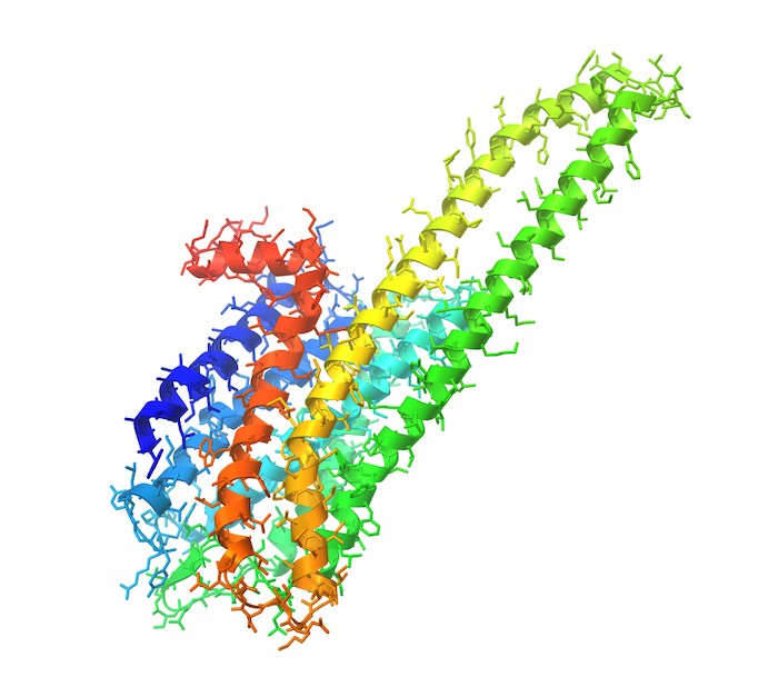 The chemical formula for 5-HT2A receptors