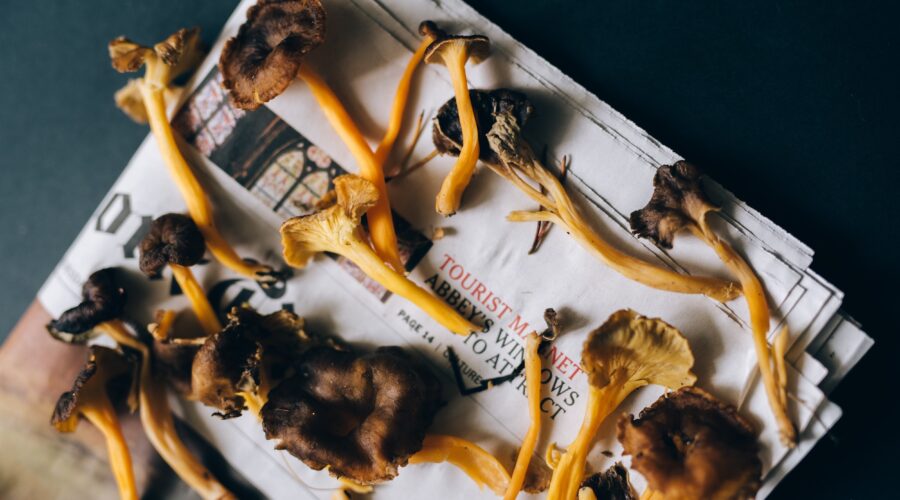 Can You Smoke Shrooms? No! Here’s Why