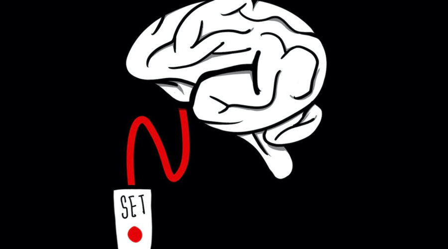 I Read Every Neuroscience Study On Psychedelics Published Since 2017. Here’s What I Learned