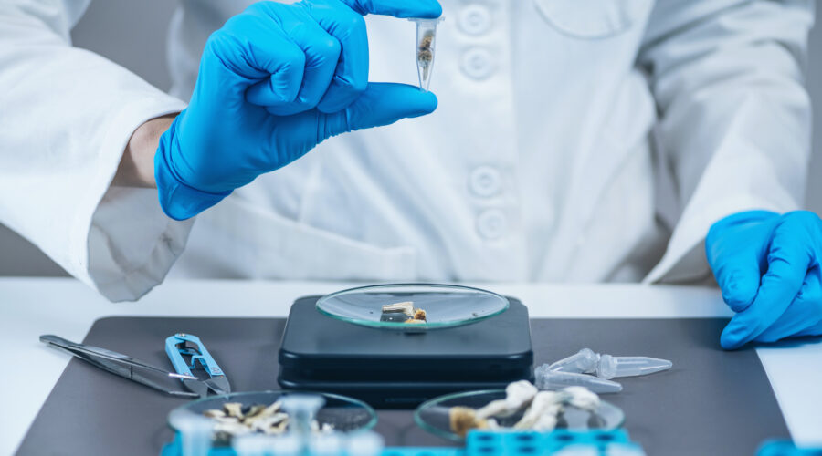 University Of Ottawa To Offer Psychedelic Studies Master’s Program Beginning In Fall 2022