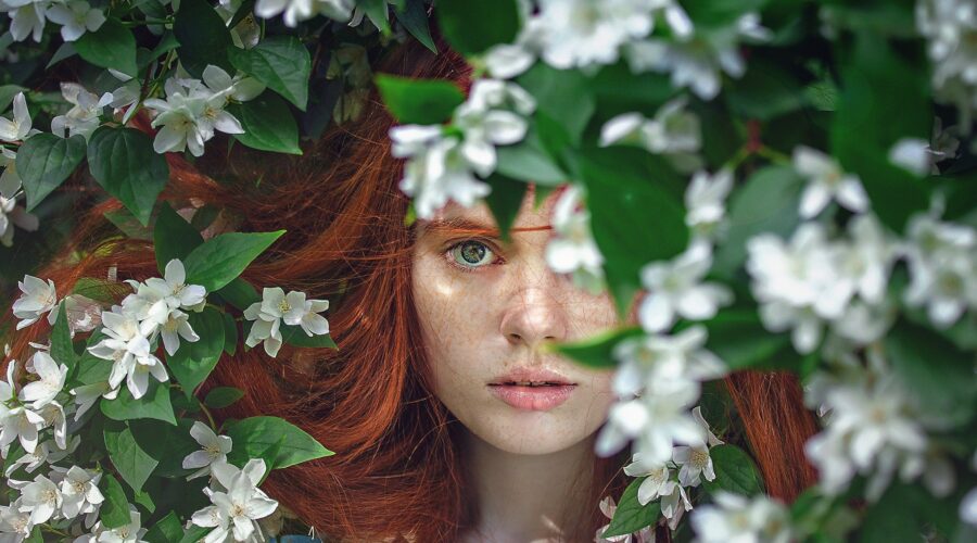 The Collective Unconscious And Psychedelics – How They Relate
