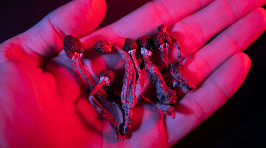 Legal Psychedelics In U.S. 2024: Decriminalized LSD, Psilocybin & More