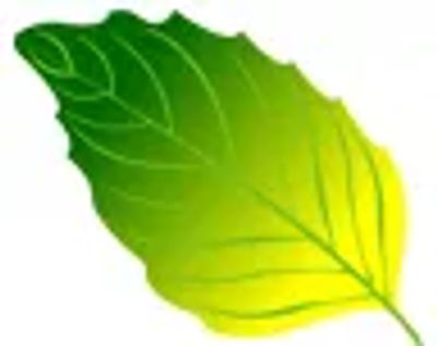 Natures Remedies Center in McAllen Texas