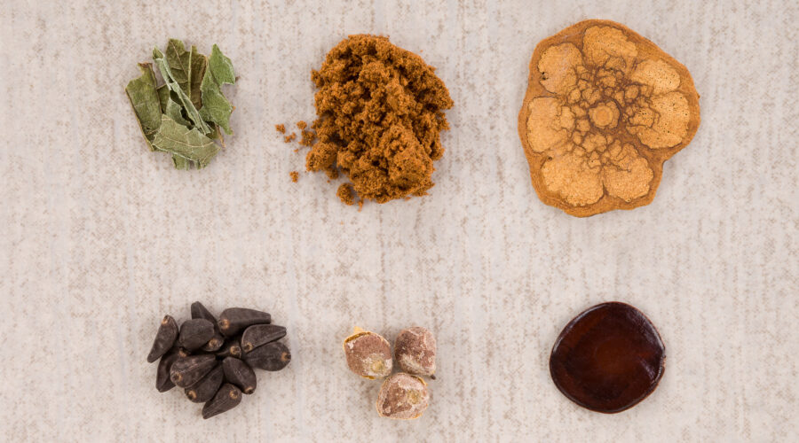 Is Ibogaine A Promising Addiction Treatment Option?