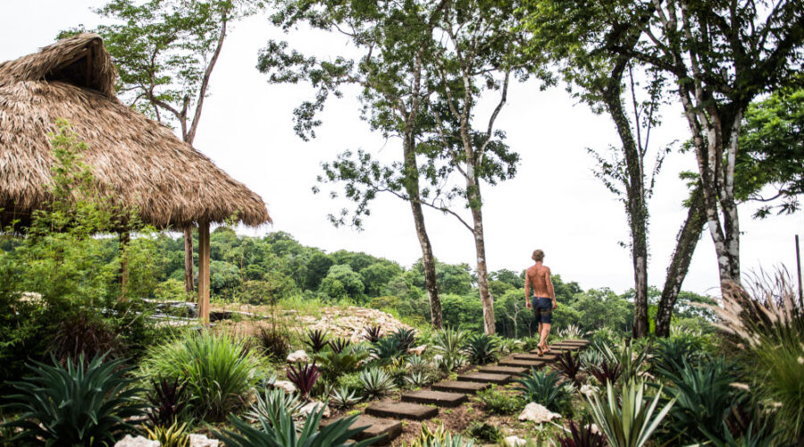 How To Choose the Right Psilocybin Retreat: From Safety to Set and Setting