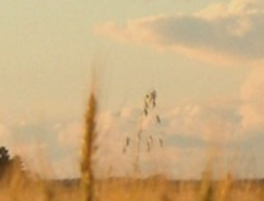 Root of Hope retreat scenery