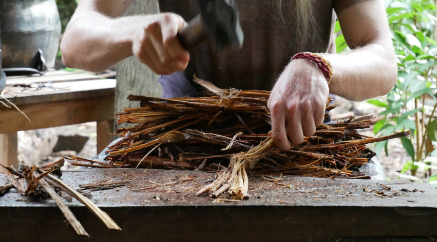 Ayahuasca: What it Feels Like, Where it Comes From, and How it Works