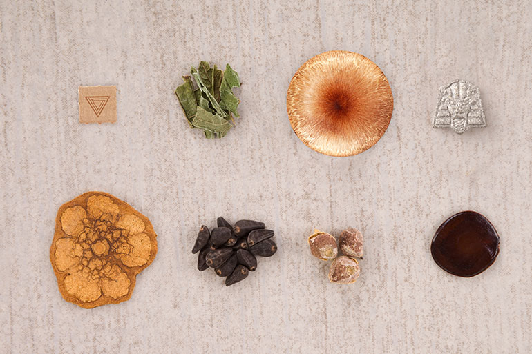 Array of Psychedelics: MDMA, LSD, Ayahuasca & Psilocybin