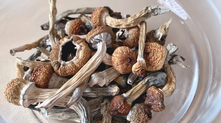 Psychedelic Therapy Treatments Could Be Approved “Within Next Two Years” According To New Federal Letter