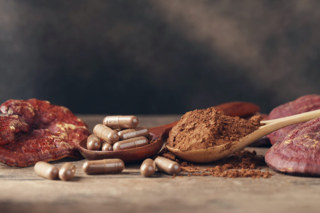 Reishi Mushroom powder