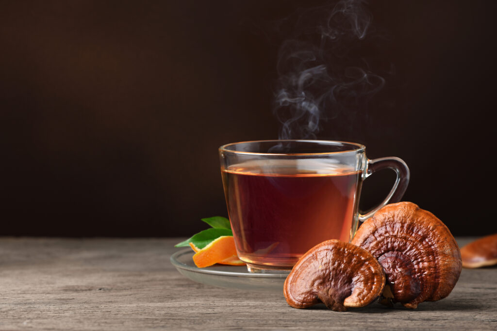 how to brew Reishi Mushroom tea