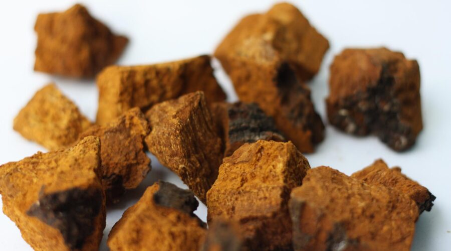 Chaga Mushroom (Inonotus Obliquus)