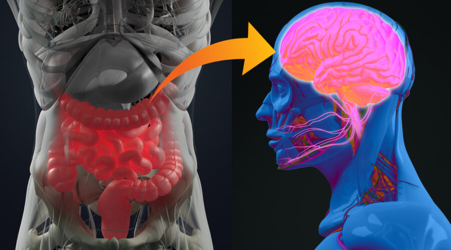 Do Psychedelic Trips Actually Start In The Gut Instead Of The Brain?