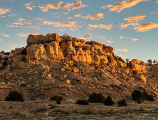 Lucid Wild New Mexico in New Mexico