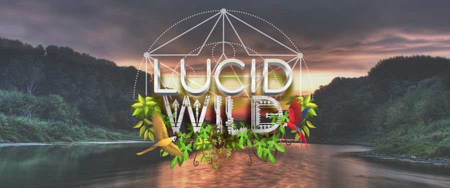 Lucid Wild New Mexico in New Mexico logo
