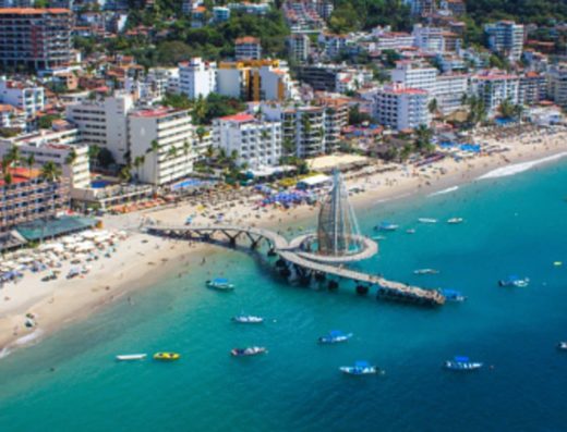 Lucid Wild Puerto Vallarta in Puerto Vallarta, Mexico
