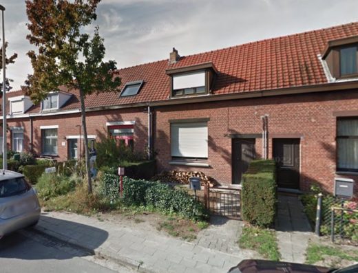 Psilomorphosis in Belgium