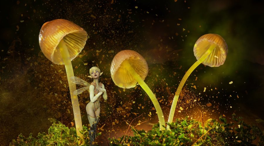 Let’s All Argue About DMT Elves: Are They Real or Not?