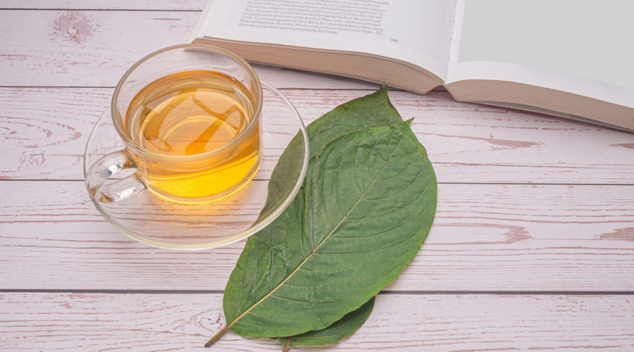 What Is Kratom Tea Good For, And How Do You Make It?