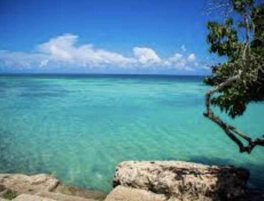 Zion Life Retreat in Jamaica