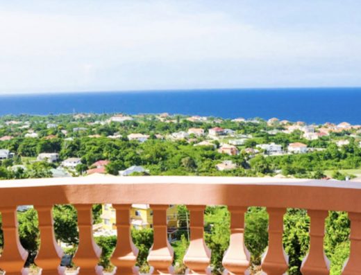 Mycelia in Saint Mary, Jamaica