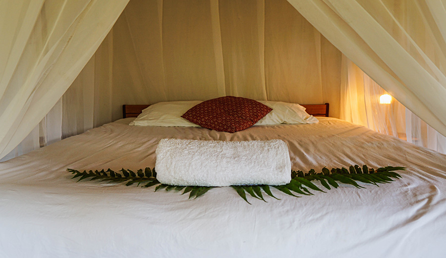 Facilities at Soul Medicine in Nayarit, Mexico.