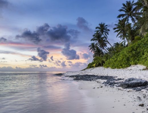 Wake in Jamaica