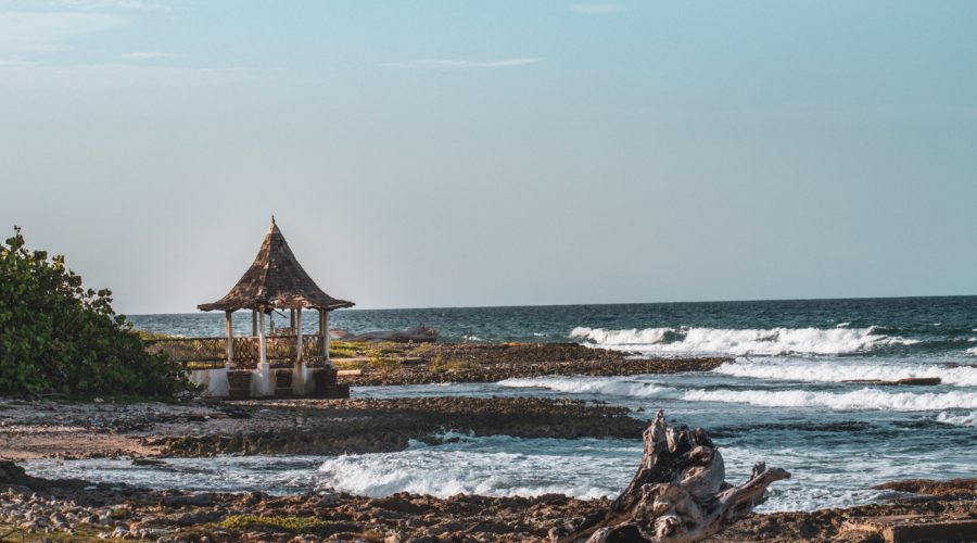 Best Psilocybin Retreats In Jamaica