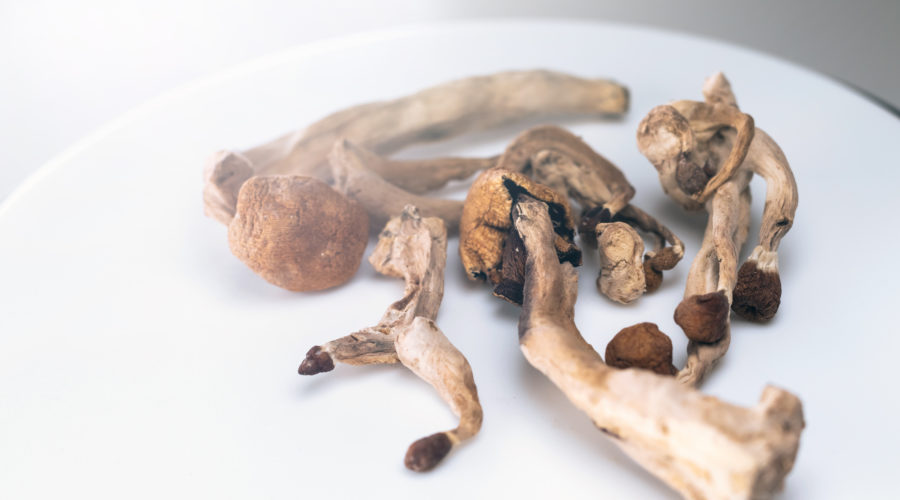 The Differences Between Colorado and Oregon’s Psilocybin Laws