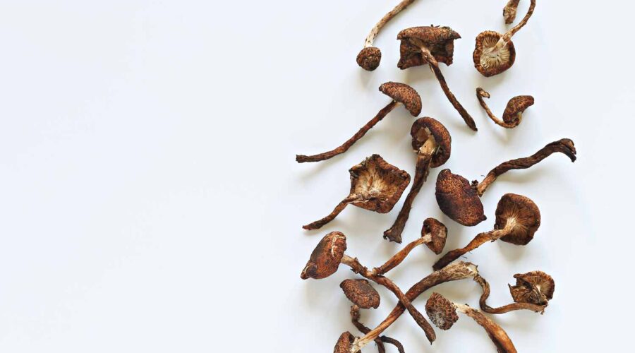 Want To Join a Psychedelic Clinical Trial or Study? Here’s What You Need to Know