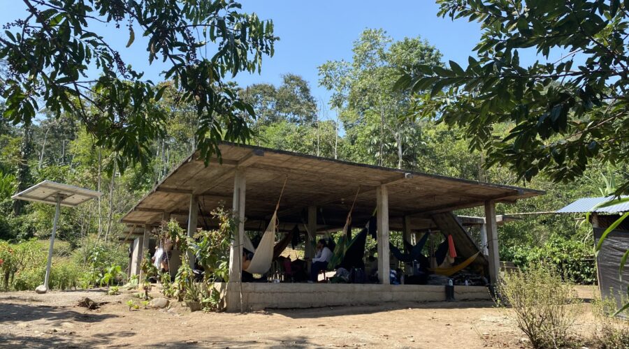 Modernized vs. Traditional Ayahuasca Ceremonies: Which is Right For You?