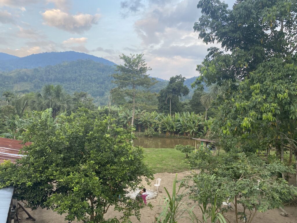 Modernized vs traditional ayahuasca ceremonies