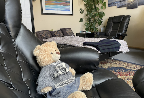 Oregon psilocybin prices eugene office teddy bear