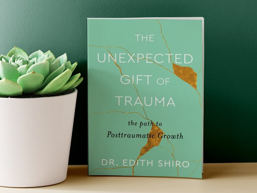 psychedelics and trauma book