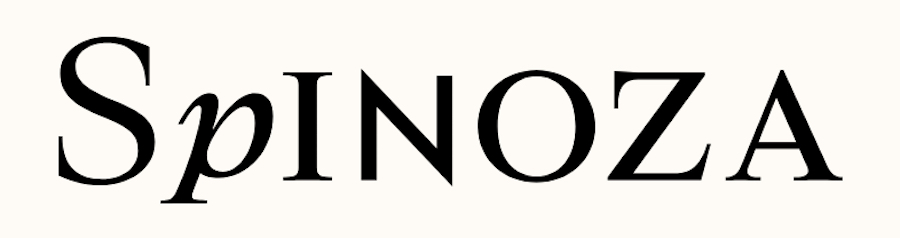 Spinoza in Amsterdam, Netherlands logo