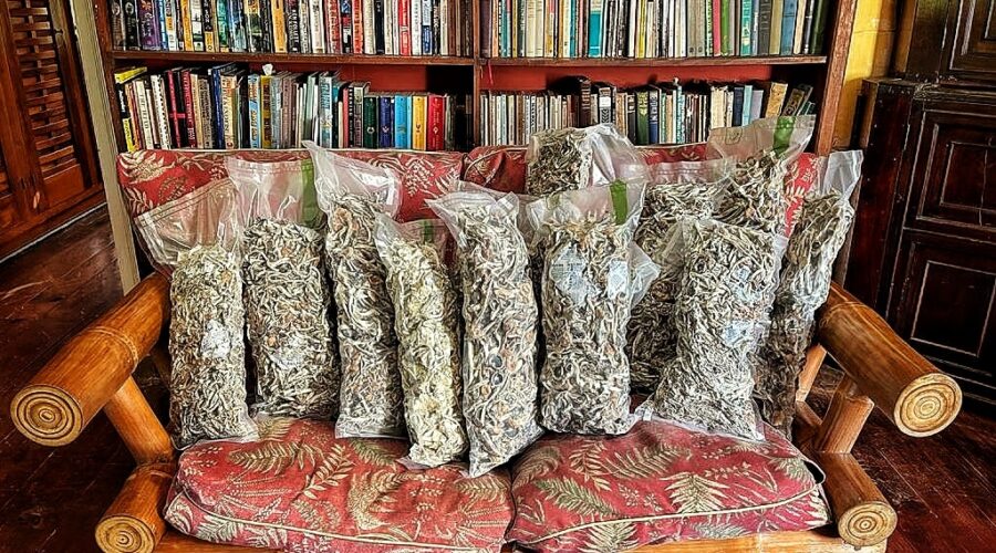 What To Bring to a Psychedelic Treatment—and What to Leave at Home