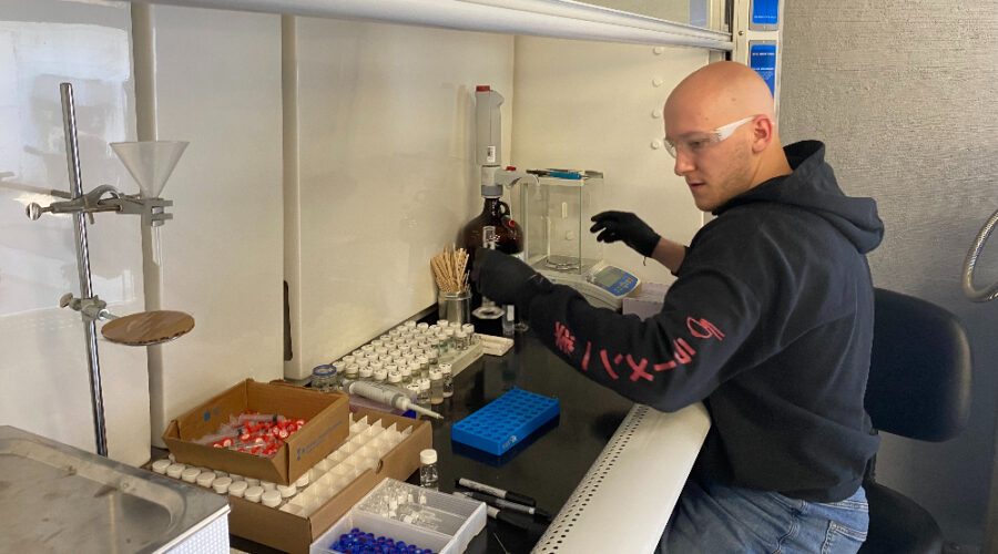 Mushroom-Testing Labs Find Huge Differences in Psilocybin and Other Compounds